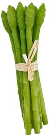 Artificial Asparagus 20x6cm Realistic Fake Vegetable Teaching Aid
