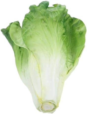 LUOZZY 2pcs Artificial Vegetable Model Fake Lettuce Decoration