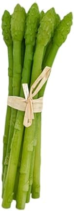 Artificial Asparagus 20x6cm Realistic Fake Vegetable Teaching Aid
