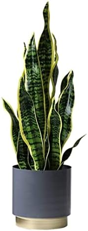 Artificial Sansevieria Tree 26 Inch with Modern Planter