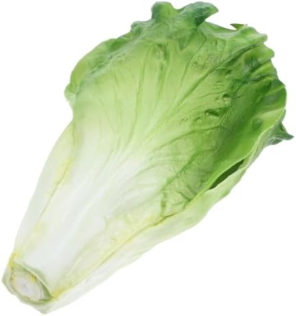 LUOZZY 2pcs Artificial Vegetable Model Fake Lettuce Decoration