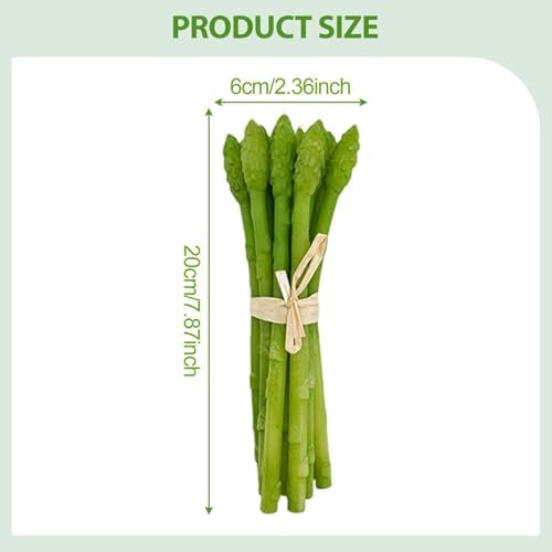 Artificial Asparagus 20x6cm Realistic Fake Vegetable Teaching Aid