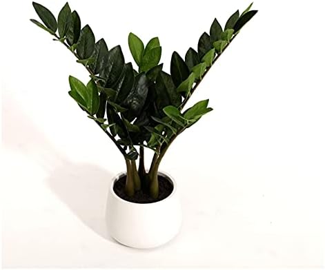 Realistic Artificial Pine Bonsai Tree 21 Inch