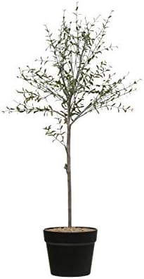 Creative Co-Op DF2615 29 In Artificial Topiary
