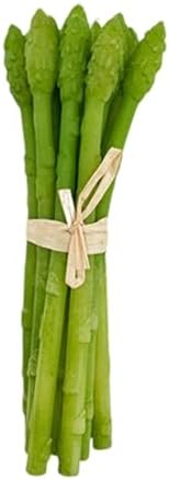 Artificial Asparagus 20x6cm Realistic Fake Vegetable Teaching Aid