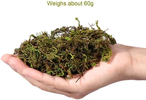 VOSAREA Artificial Moss for DIY Forest Crafts
