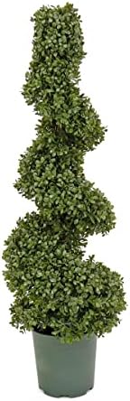National Tree Company 44 Inch Artificial Boxwood Spiral Topiary
