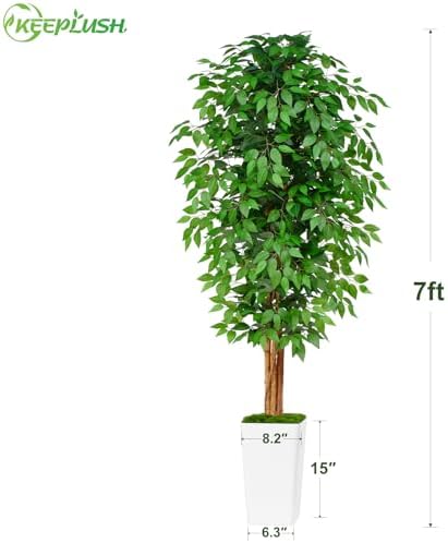 7ft Ficus Artificial Tree with 3 Curved Trunks and White Planter