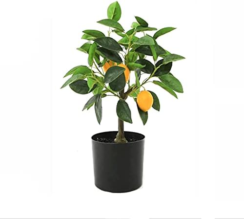 17 Inch Artificial Pine Bonsai Tree with Black Pot