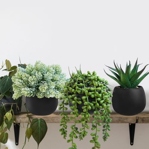 Winlyn Set of 3 Artificial Succulent Plants in Black Concrete Pots