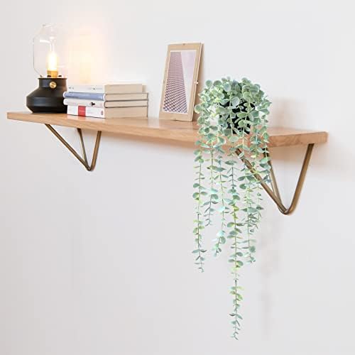 HOFMEFY Artificial Hanging Eucalyptus Plant 23 Inch
