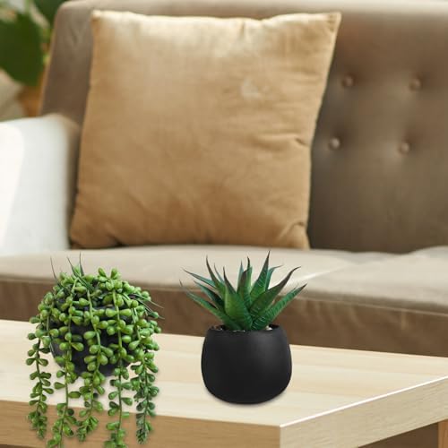 Winlyn Set of 3 Artificial Succulent Plants in Black Concrete Pots
