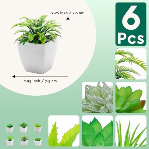 6pcs Artificial Succulent Plants Indoor Decor in Pots