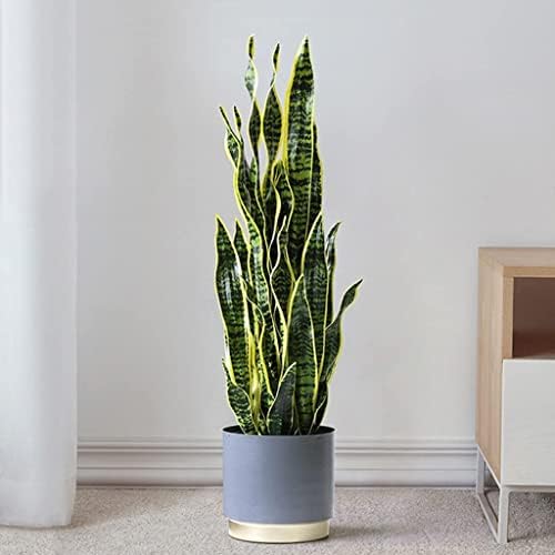 Artificial Sansevieria Tree 26 Inch with Modern Planter