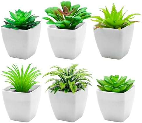 6pcs Artificial Succulent Plants Indoor Decor in Pots