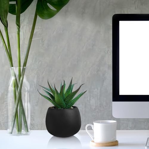 Winlyn Set of 3 Artificial Succulent Plants in Black Concrete Pots