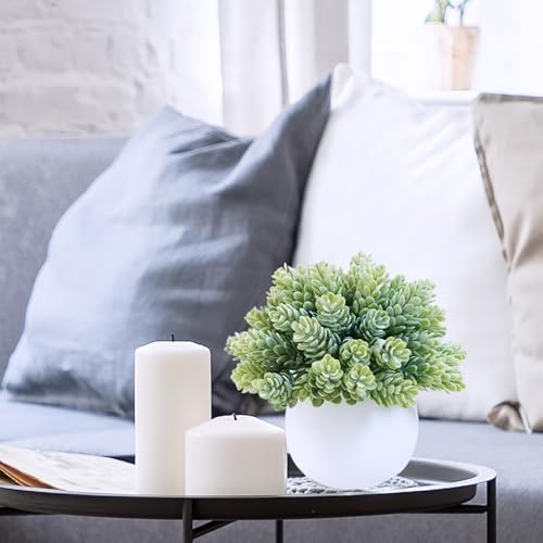 Winlyn Set of 3 Artificial Succulent Plants in Concrete Pots