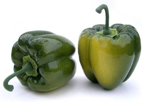 Green Bell Pepper Artificial Vegetables Box of 6