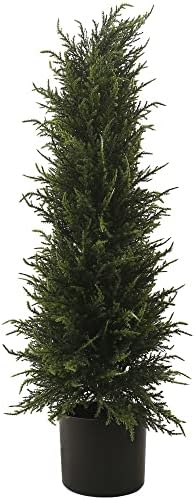 275 Ft Cedar Topiary Tree for Front Porch