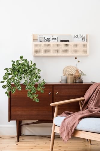 Briful Faux Watermelon Peperomia Artificial Plant for Home Office