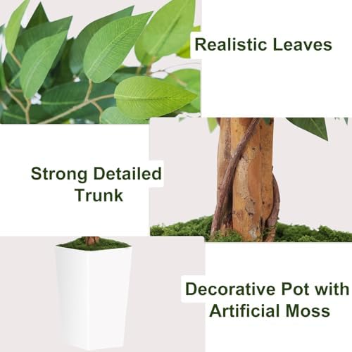 7ft Ficus Artificial Tree with 3 Curved Trunks and White Planter