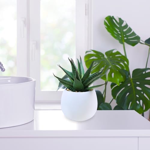 Winlyn Set of 3 Artificial Succulent Plants in Concrete Pots