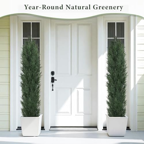 THE BLOOM TIMES 6ft Artificial Topiary Set of 2