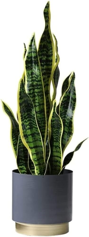 Artificial Sansevieria Tree 26 Inch with Modern Planter