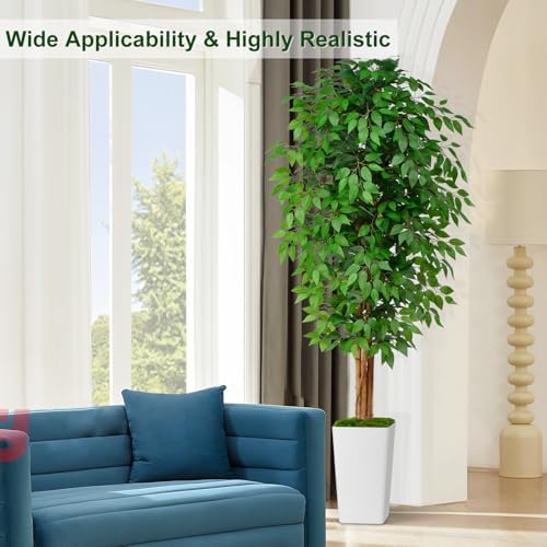 7ft Ficus Artificial Tree with 3 Curved Trunks and White Planter
