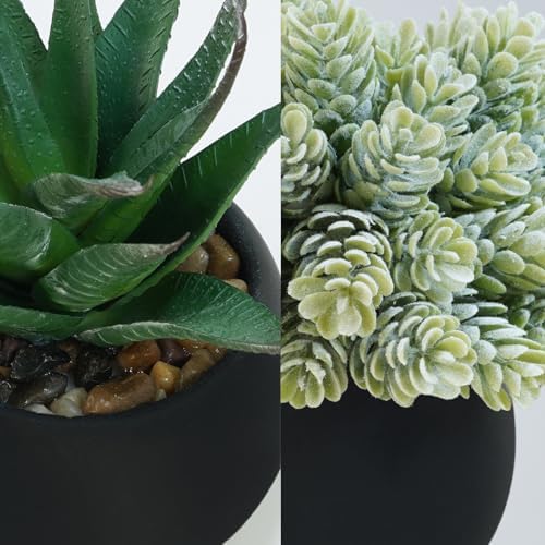 Winlyn Set of 3 Artificial Succulent Plants in Black Concrete Pots