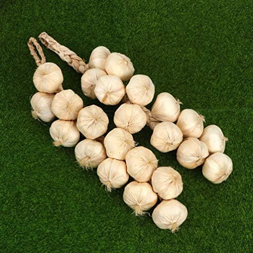 Hemoton 3pc Garlic Hanging Garland Photo Props