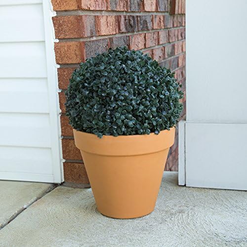 11in Pre-Lit Faux Boxwood Topiary with Solar Lights