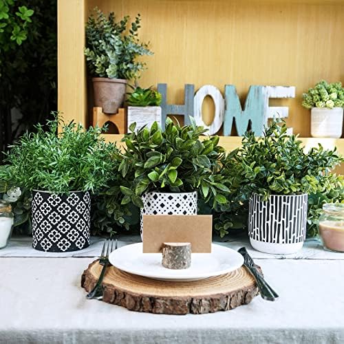 Winlyn 3-Pack Artificial Plants in Concrete Pots