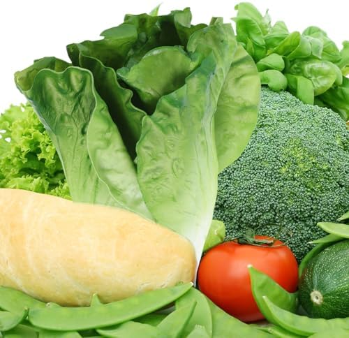 LUOZZY 2pcs Artificial Vegetable Model Fake Lettuce Decoration