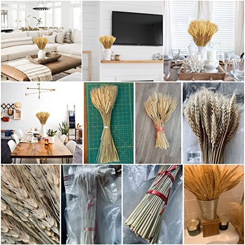 Uieke 177 Inch Dried Wheat Stalks for Home Decor