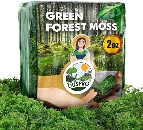 Duspro Upgraded Green Moss for Crafts and Decor