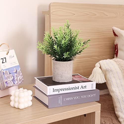 CEWOR 4 Pack Artificial Hanging Plants for Home Decor