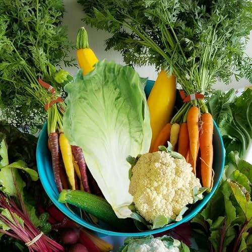 LUOZZY 2pcs Artificial Vegetable Model Fake Lettuce Decoration
