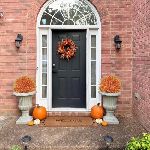 24 Inch Artificial Cedar Topiary Trees Set of 2