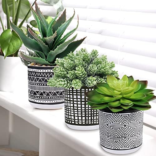 Winlyn Set of 3 Assorted Artificial Succulent Plants
