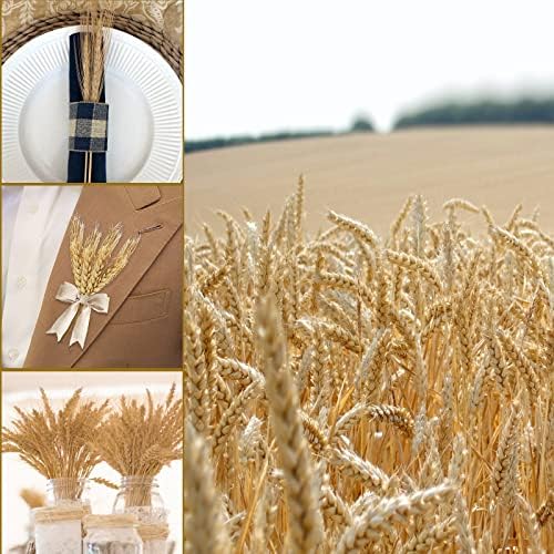 Uieke 177 Inch Dried Wheat Stalks for Home Decor