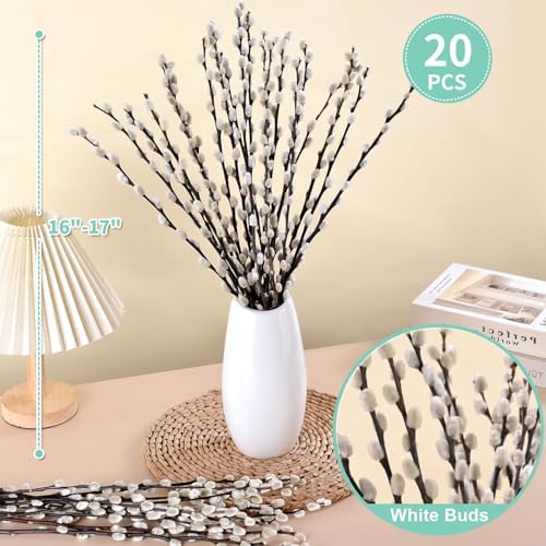 Oning 20 Stems Preserved Pussywillow Branches for Vase