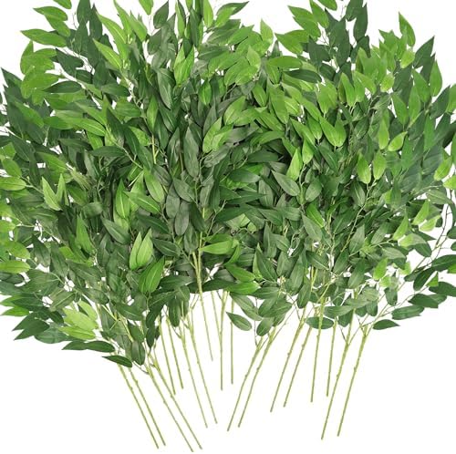 Artificial Italian Ruscus Greenery Stems 10 Pack
