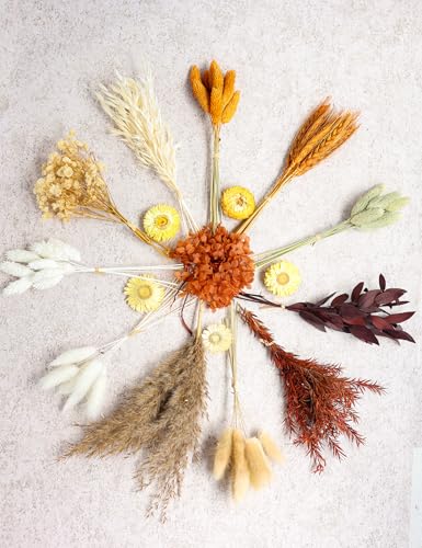 DIY Dried Flower Set with Twine Orange