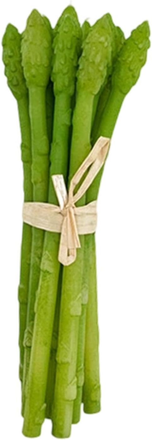 Artificial Asparagus 20x6cm Realistic Fake Vegetable Teaching Aid