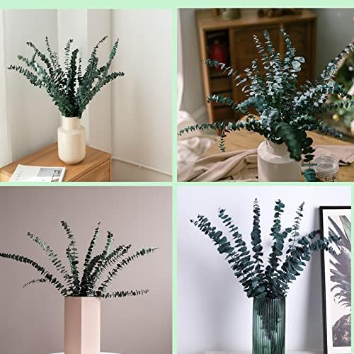 Comtelek Eucalyptus Shower Decor 10 Pcs Real Dried Bundle