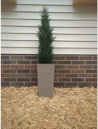 Pre Potted Artificial Cedar Topiary Trees Pack of 2 1