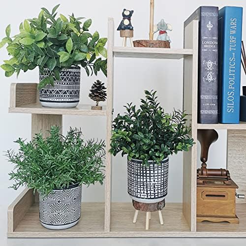 Winlyn Set of 3 Artificial Potted Plants in Black and White Geometric Pots