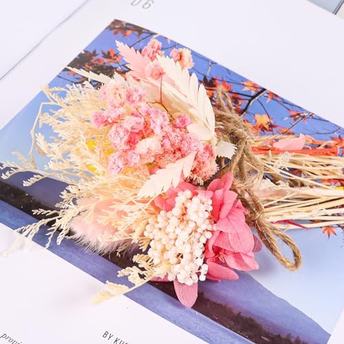 10 Pack Pink Dried Flower Bouquets with Stem Boho Decor