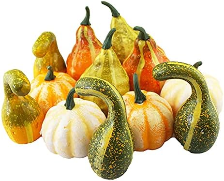 TITA-DONG Artificial Pumpkins and Gourds Set of 12 Halloween Foam Props